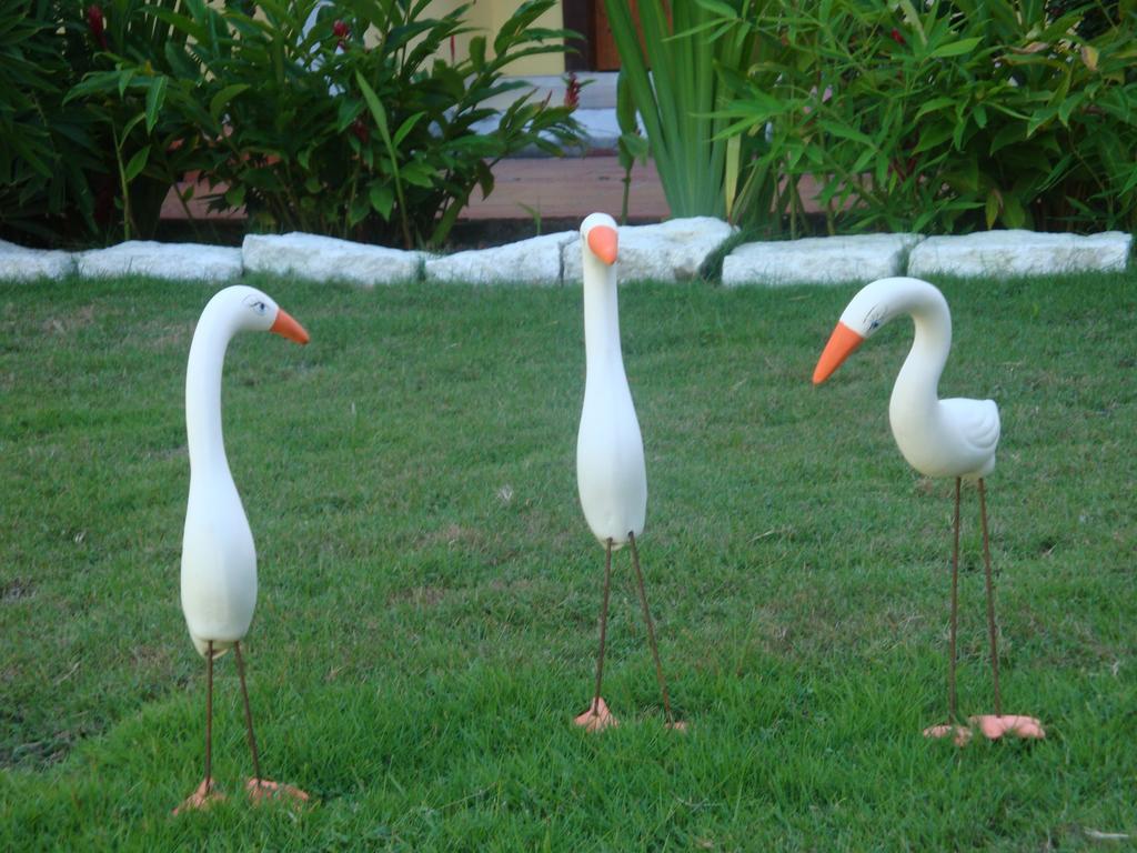 Hotel Porto Garden Porto Seguro Eksteriør bilde